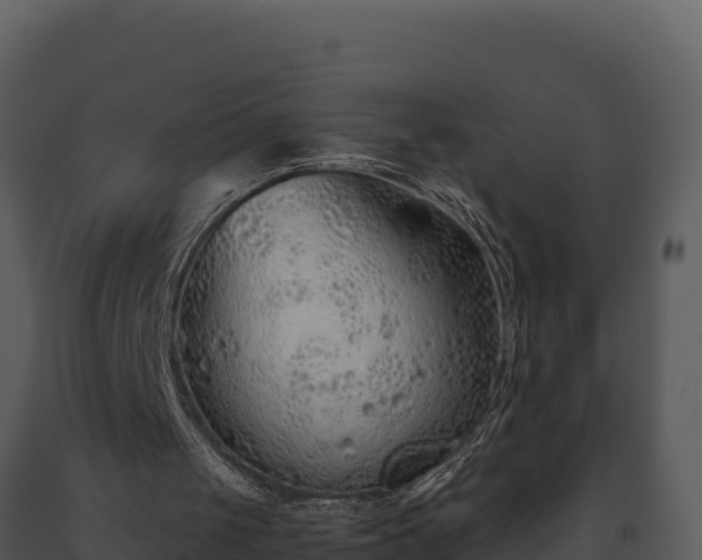X0000093500049200710191257