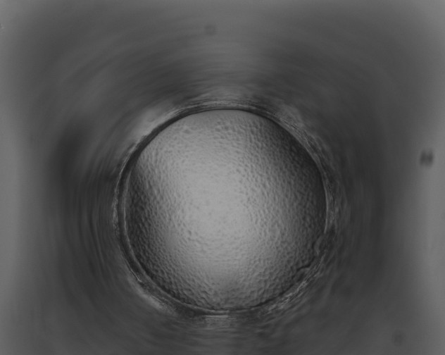 X0000093500050200710191257