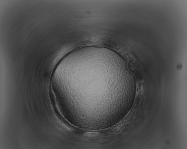 X0000093500051200710191257