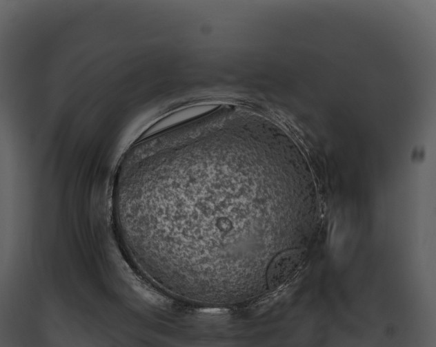 X0000093500053200710191257