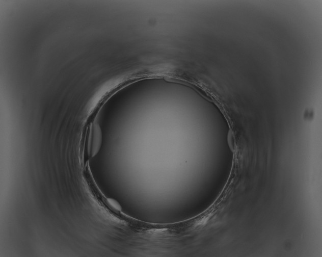 X0000093500054200710191257