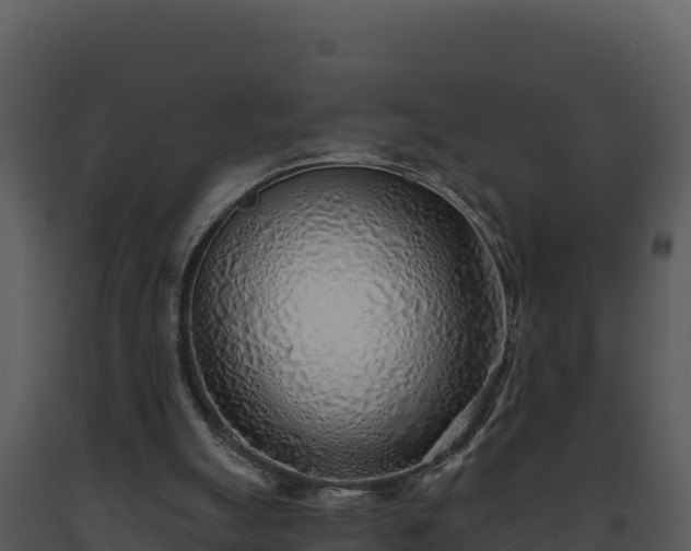 X0000093500055200710191257