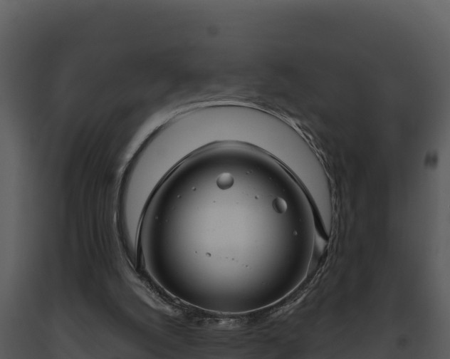 X0000093500056200710191257