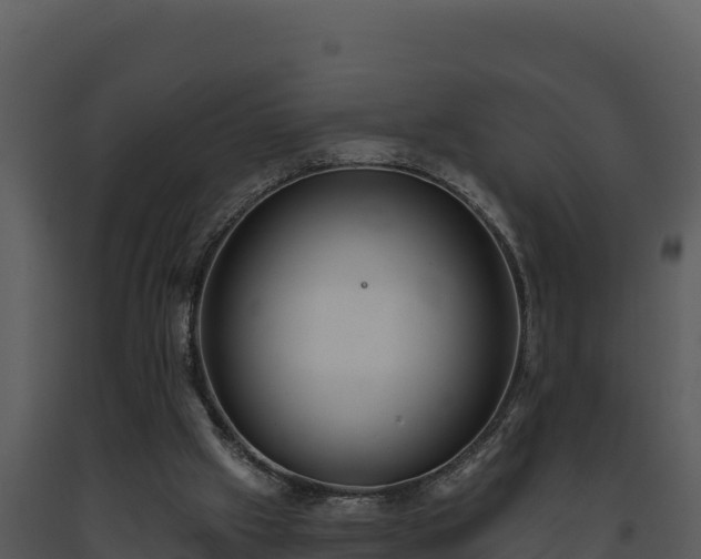 X0000093500057200710191257
