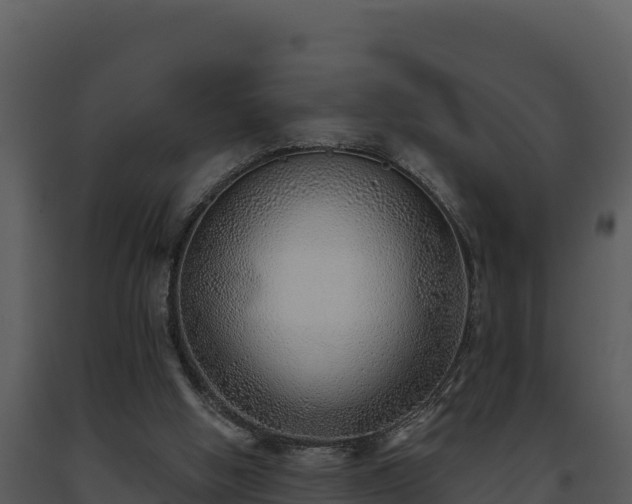 X0000093500058200710191257