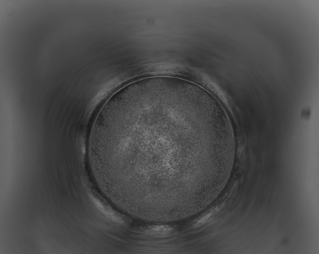 X0000093500059200710191257