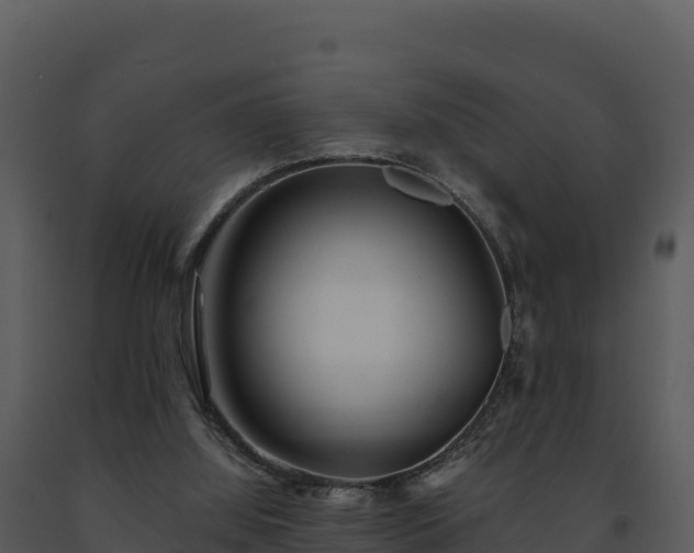 X0000093500060200710191257