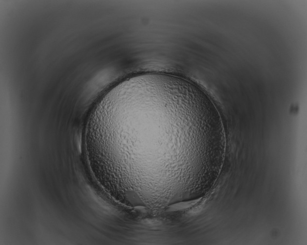 X0000093500062200710191257