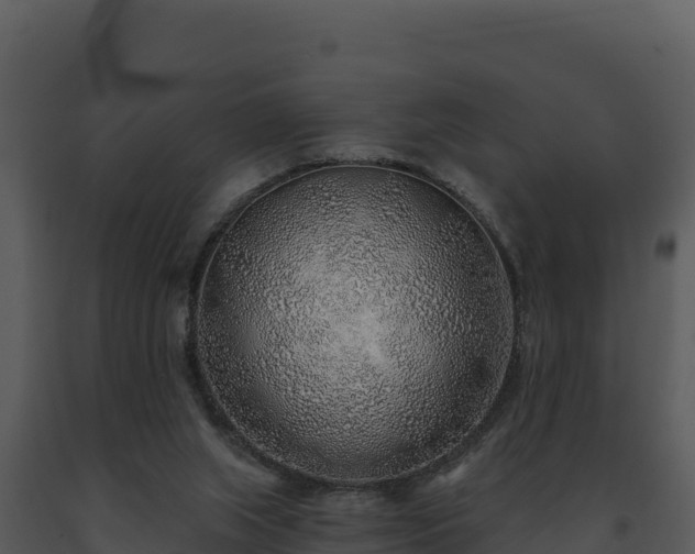 X0000093500063200710191257