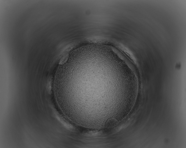 X0000093500065200710191257