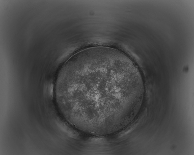 X0000093500067200710191257