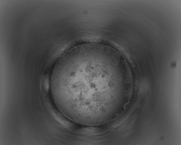 X0000093500069200710191257