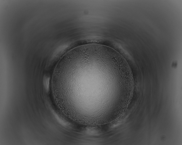 X0000093500070200710191257