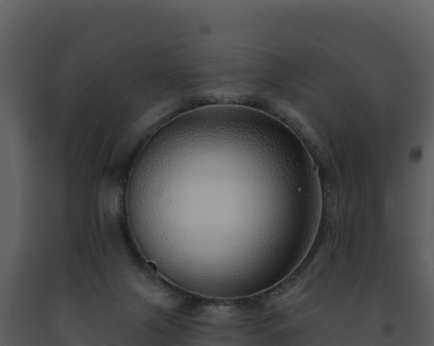 X0000093500071200710191257