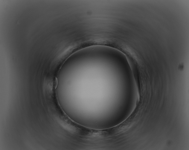 X0000093500072200710191257
