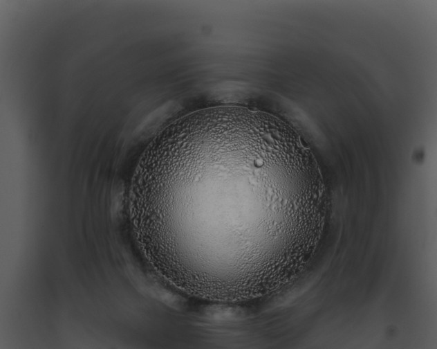 X0000093500073200710191257