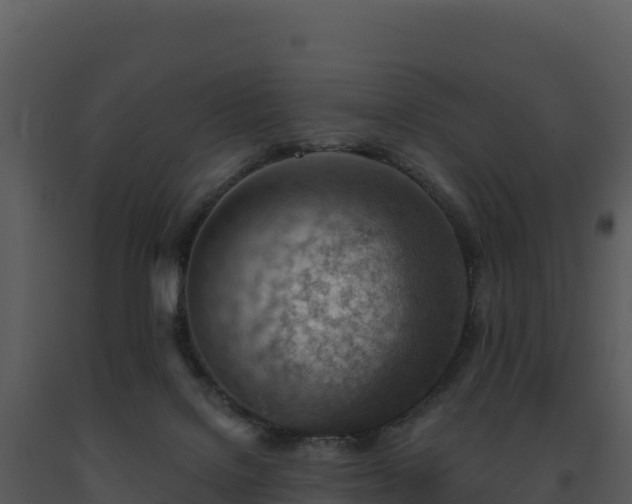 X0000093500076200710191257