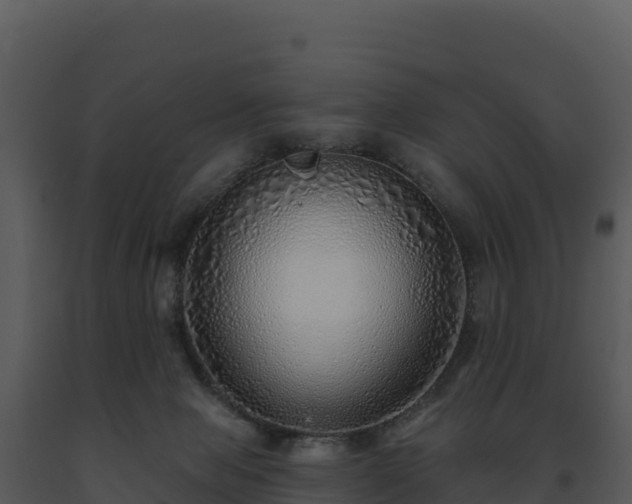 X0000093500077200710191257