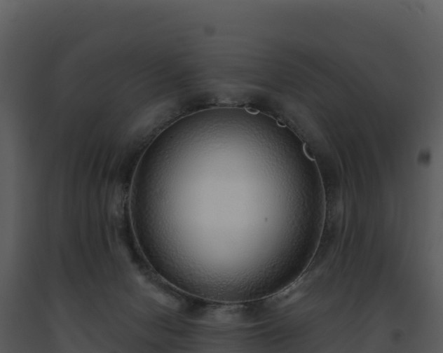 X0000093500078200710191257