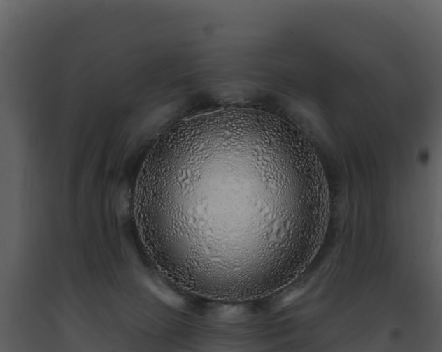 X0000093500081200710191257