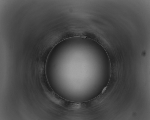 X0000093500083200710191257