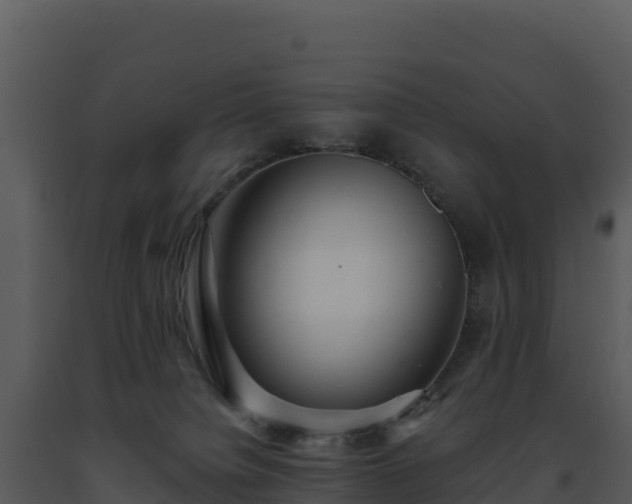 X0000093500084200710191257