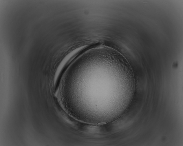 X0000093500085200710191257