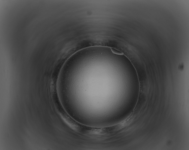X0000093500086200710191257