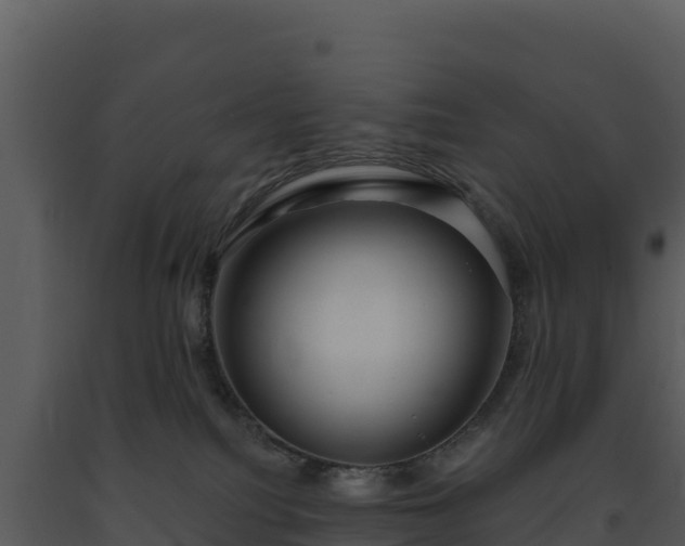 X0000093500088200710191257