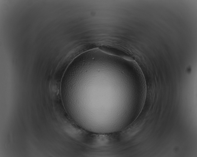 X0000093500091200710191258