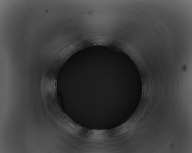 X0000093500093200710191258