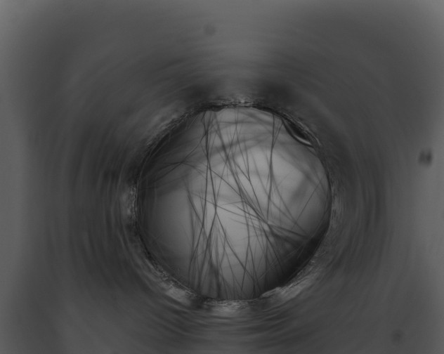 X0000093500096200710191258