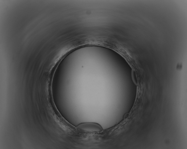 X0000093500098200710191257