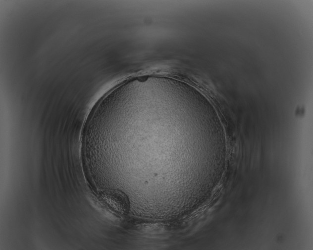 X0000093500100200710191257