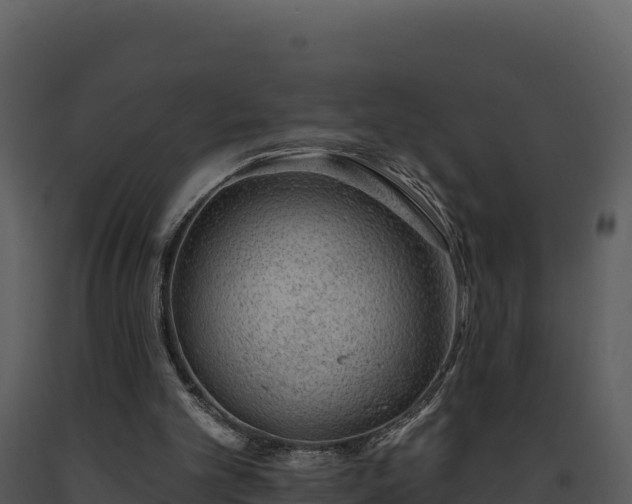 X0000093500101200710191257