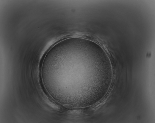 X0000093500102200710191257