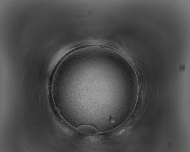 X0000093500103200710191257