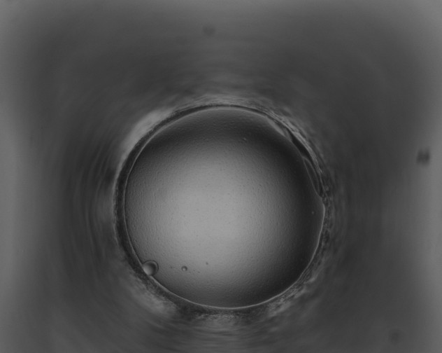 X0000093500104200710191257