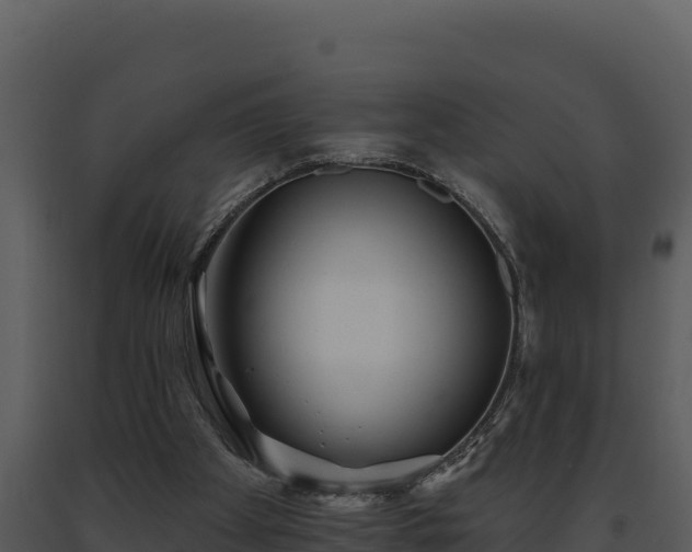 X0000093500105200710191257