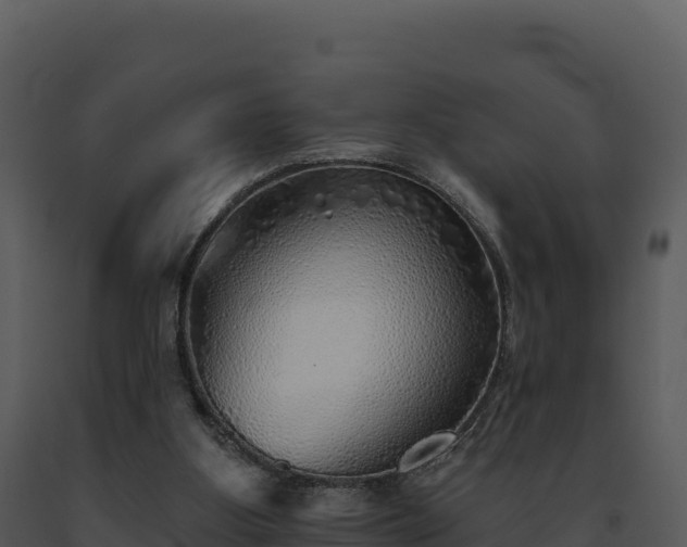 X0000093500107200710191257