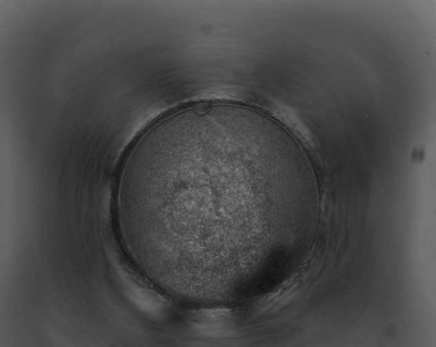 X0000093500108200710191257