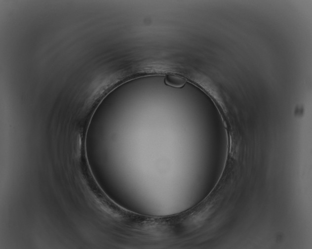 X0000093500109200710191257