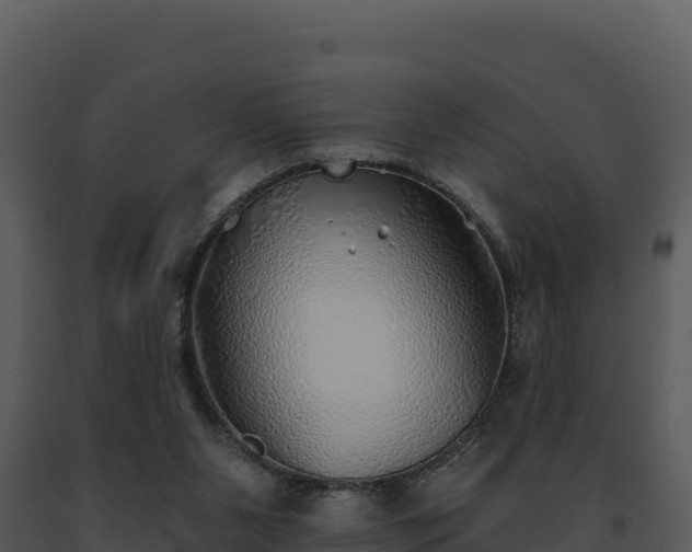 X0000093500111200710191257