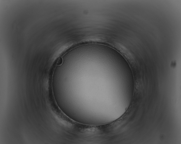 X0000093500112200710191257