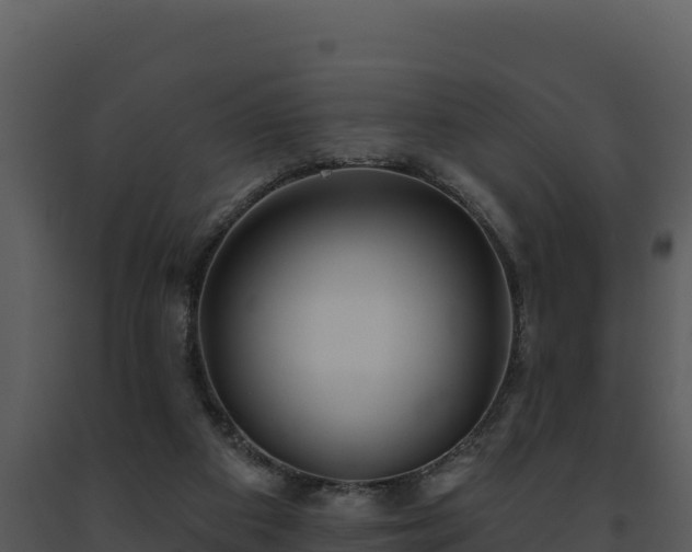 X0000093500113200710191257