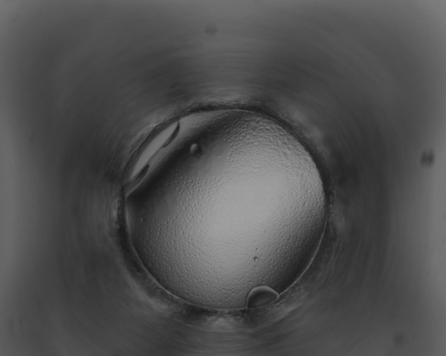 X0000093500115200710191257