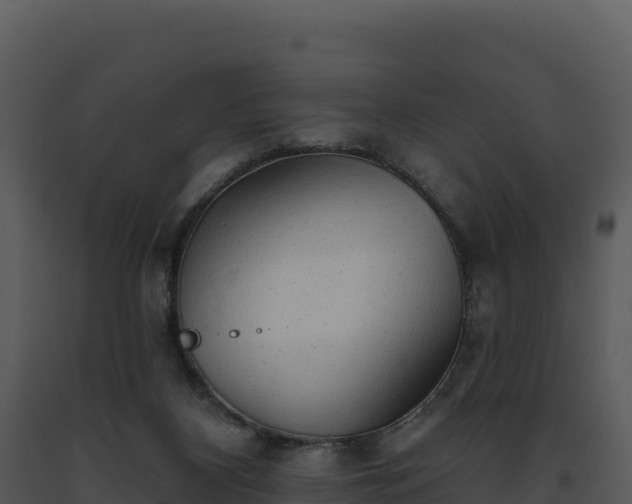 X0000093500116200710191257