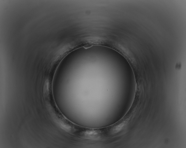 X0000093500117200710191257