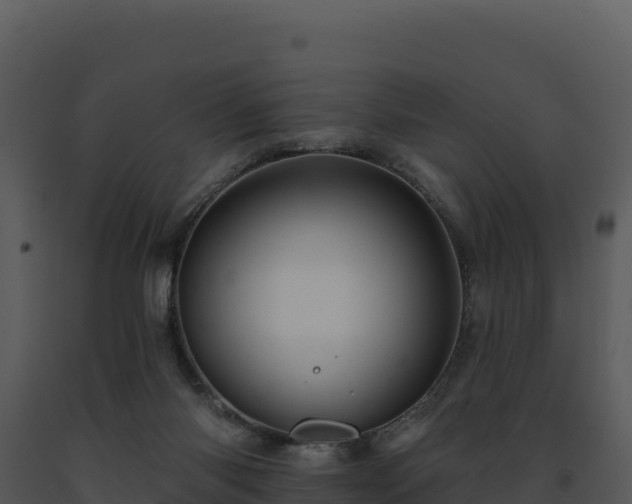 X0000093500118200710191257