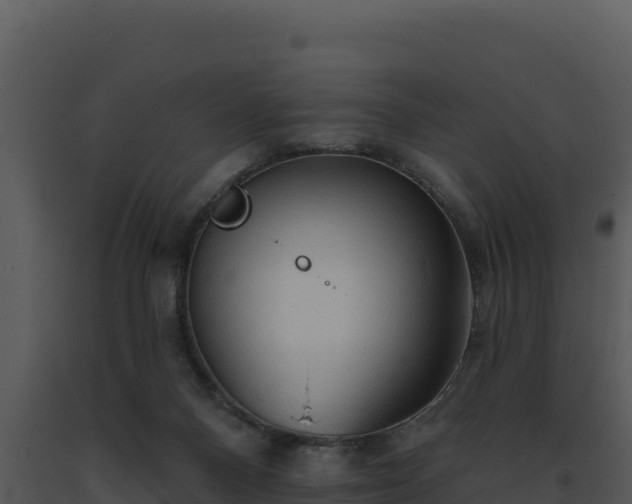 X0000093500120200710191257